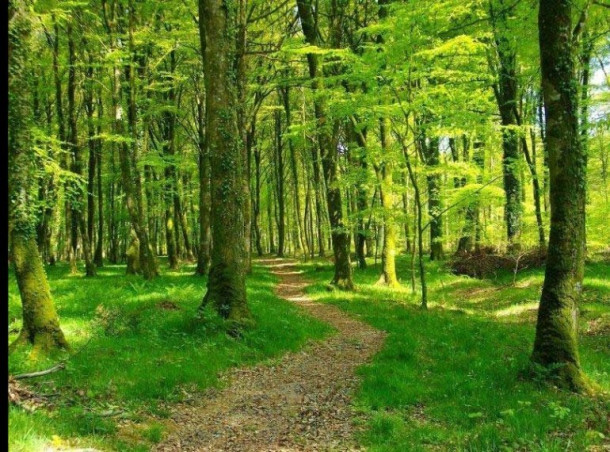 Sénart, Où se balader?