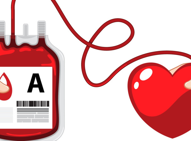 Retrouvez toutes les collectes de sang de 2025, à l'Hôtel de Ville, sur rendez-vous.