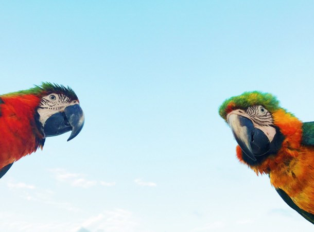 Accueil Agenda - Atelier parents - enfants